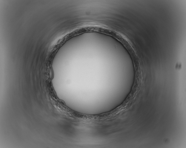 X0000111780775200907230948