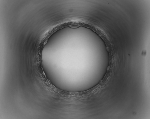 X0000111780776200907230948