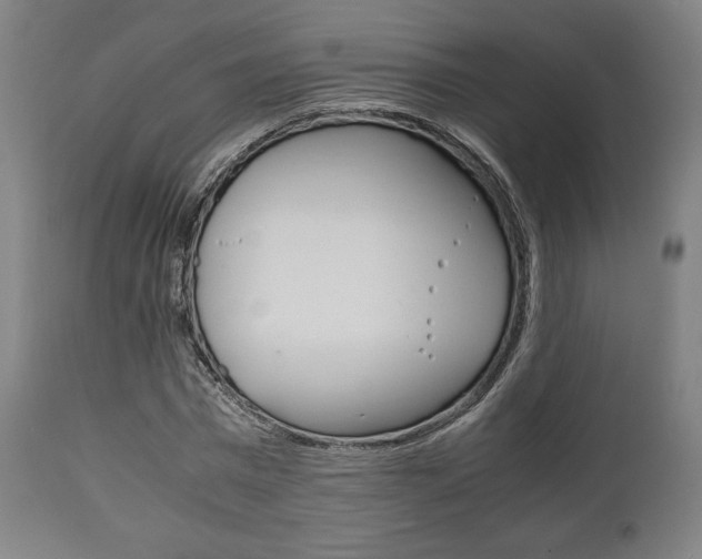 X0000111780777200907230948