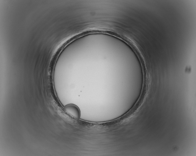 X0000111780779200907230948
