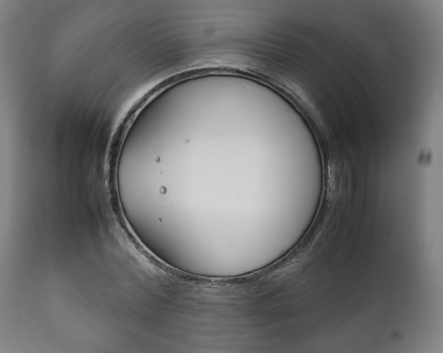 X0000111780780200907230948