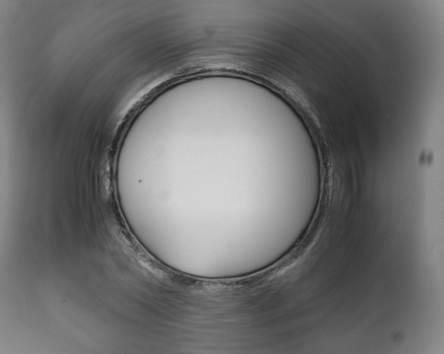X0000111780782200907230948