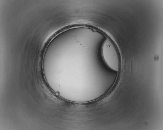 X0000111780783200907230948