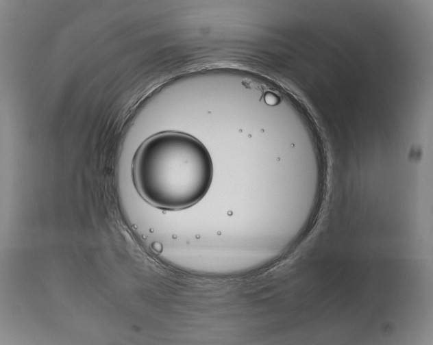 X0000111780785200907230948