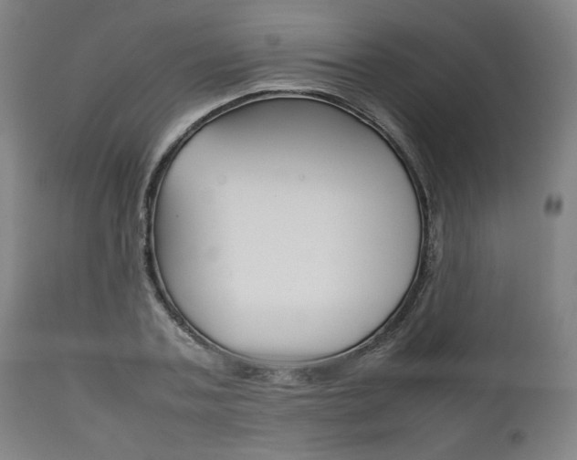 X0000111780787200907230948
