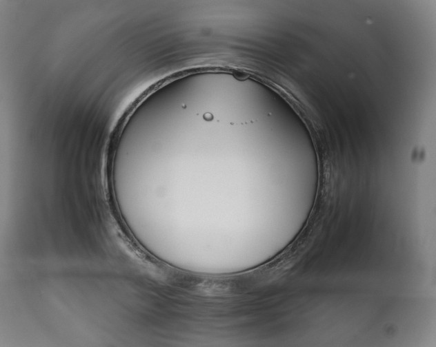 X0000111780788200907230948
