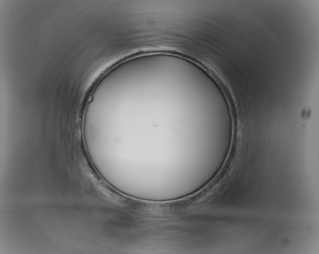 X0000111780789200907230948