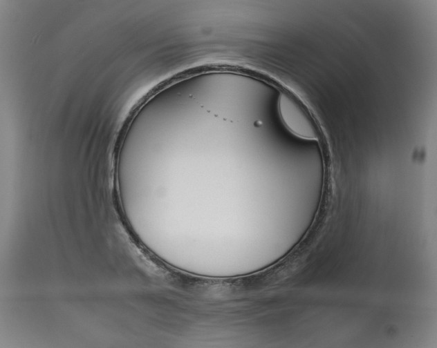 X0000111780791200907230948