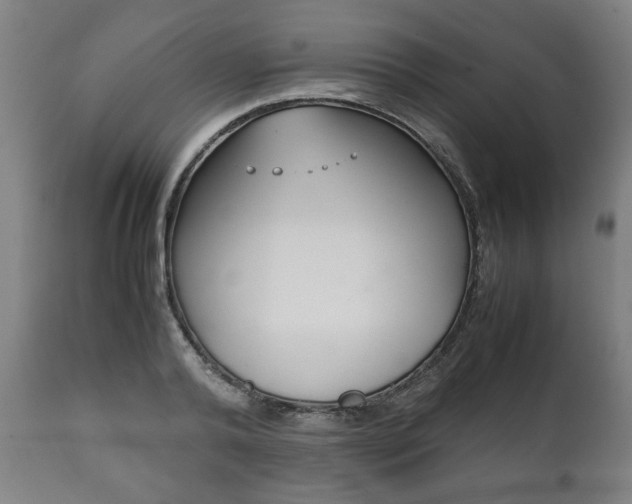 X0000111780792200907230948