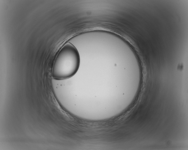 X0000111780793200907230948
