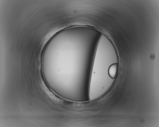 X0000111780795200907230948