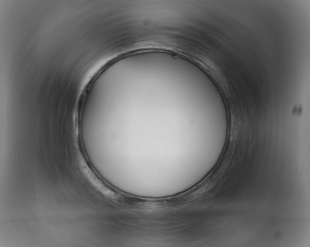 X0000111780796200907230948