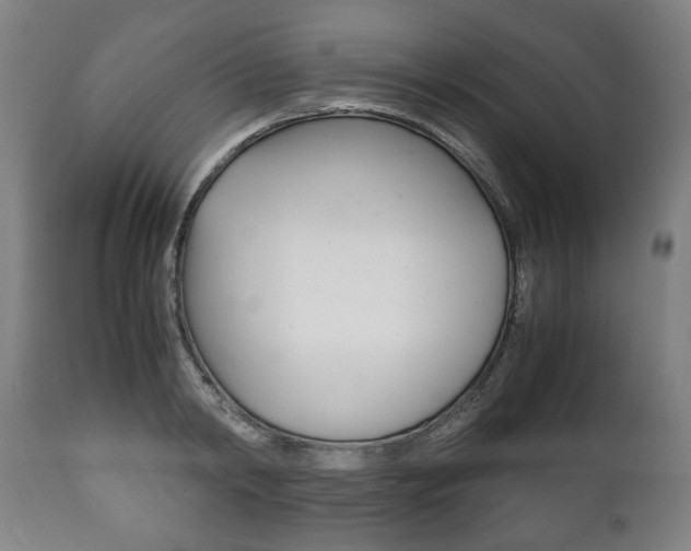 X0000111780798200907230948