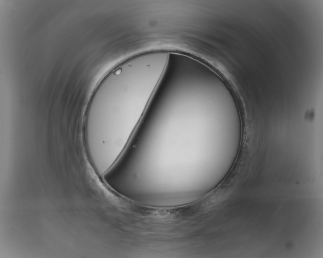X0000111780799200907230948