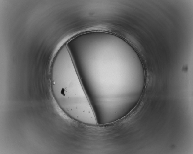 X0000111780800200907230948
