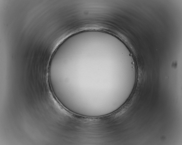 X0000111780802200907230948