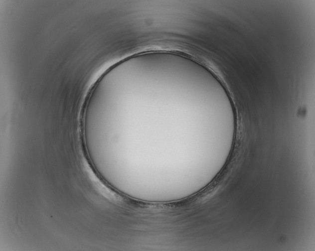 X0000111780803200907230948