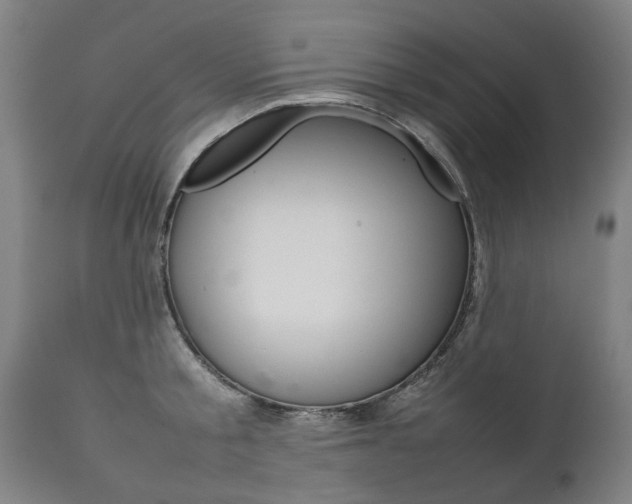 X0000111780805200907230948