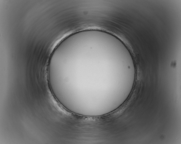 X0000111780806200907230948