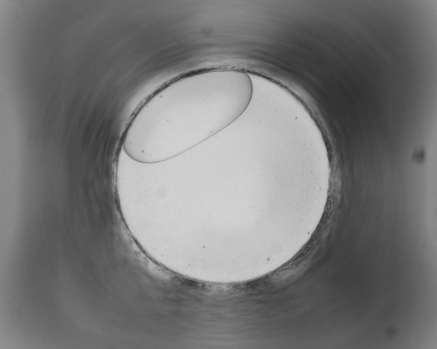 X0000111780807200907230948