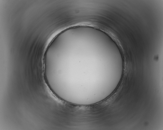 X0000111780808200907230948