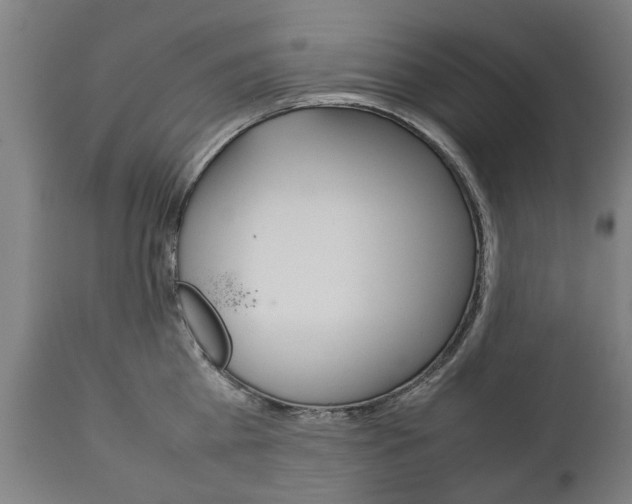 X0000111780809200907230948