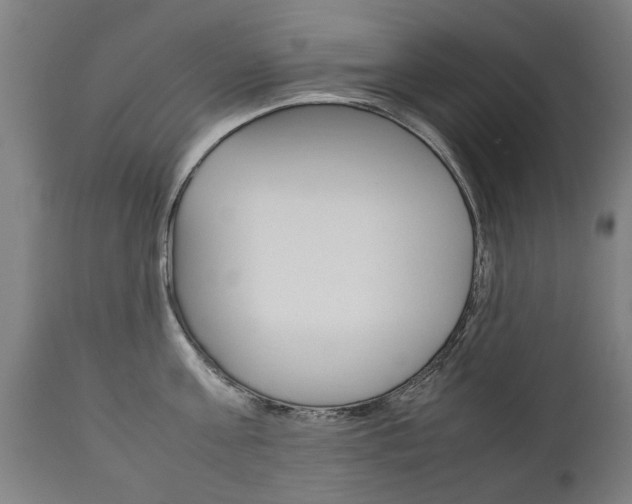 X0000111780811200907230948