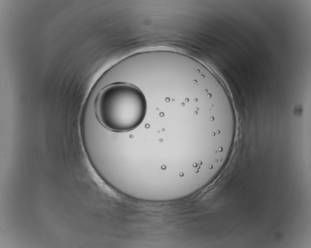 X0000111780813200907230948