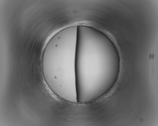 X0000111780816200907230948