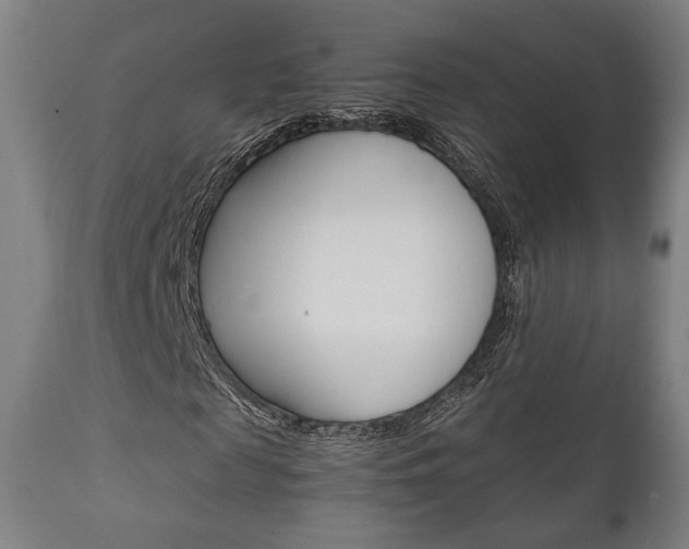 X0000111780817200907230947