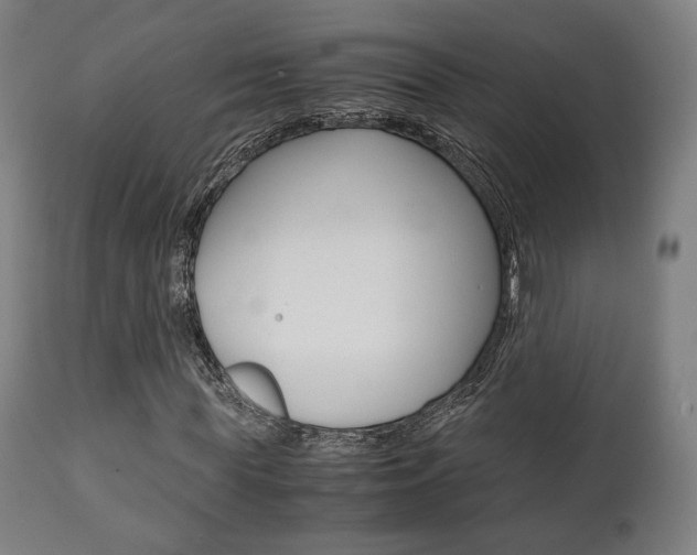 X0000111780819200907230947