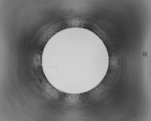 X0000111780820200907230947