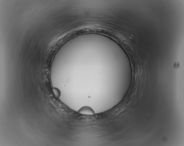 X0000111780822200907230947