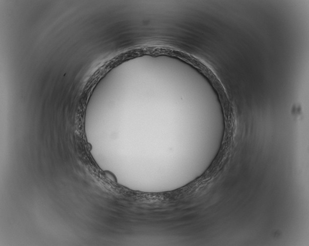 X0000111780823200907230947