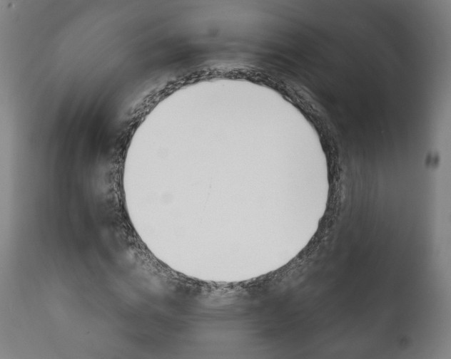X0000111780824200907230947