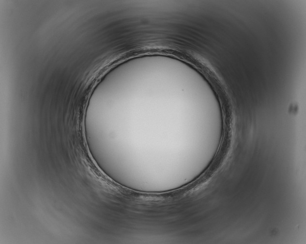 X0000111780825200907230947