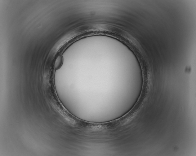 X0000111780826200907230947