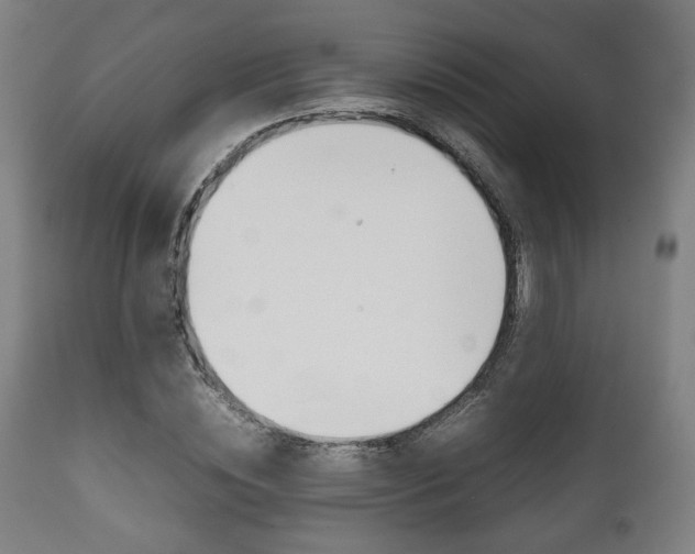 X0000111780828200907230947
