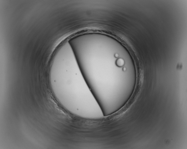 X0000111780829200907230947