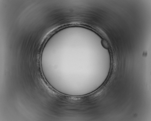 X0000111780831200907230947