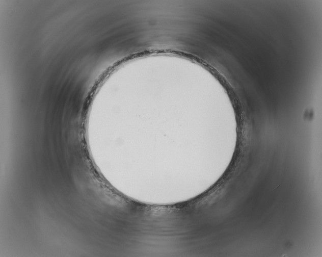 X0000111780832200907230947