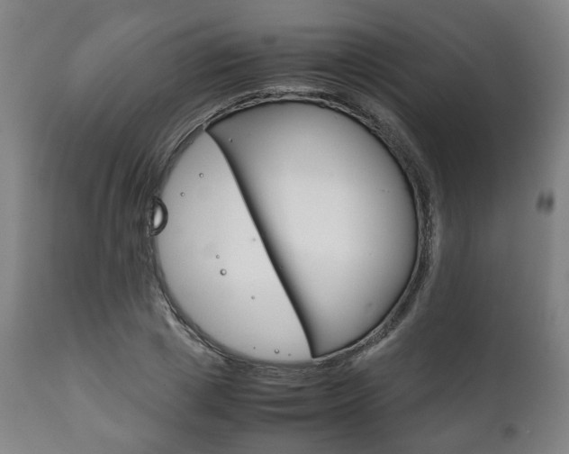 X0000111780833200907230947