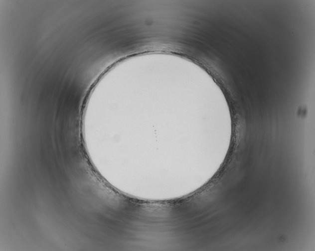 X0000111780836200907230947