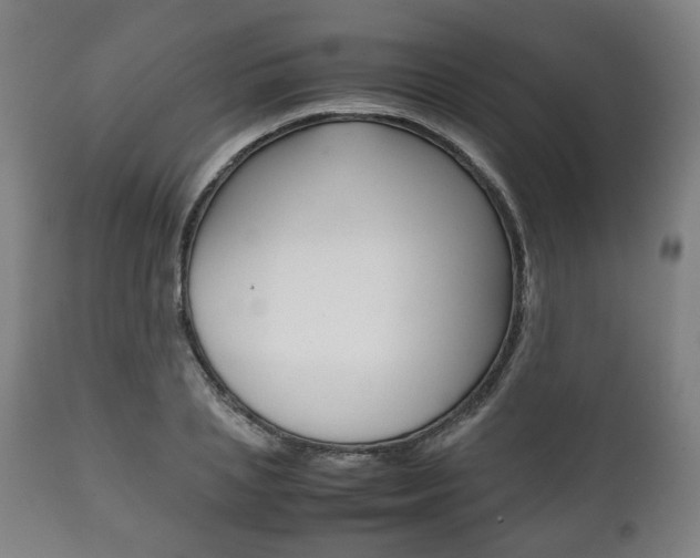 X0000111780837200907230947