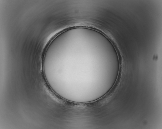 X0000111780838200907230947