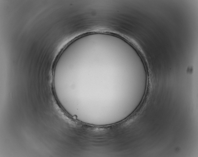 X0000111780839200907230947