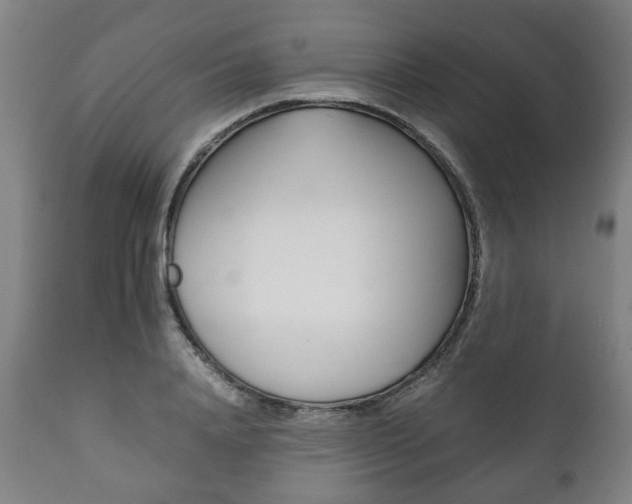 X0000111780840200907230947