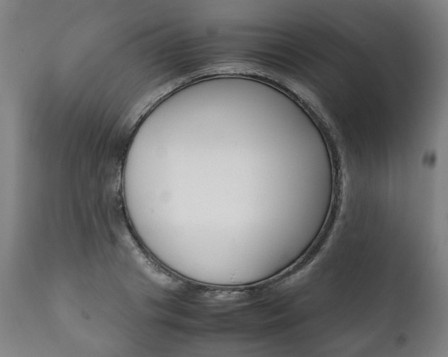 X0000111780841200907230947