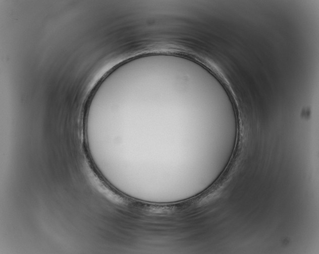 X0000111780843200907230947