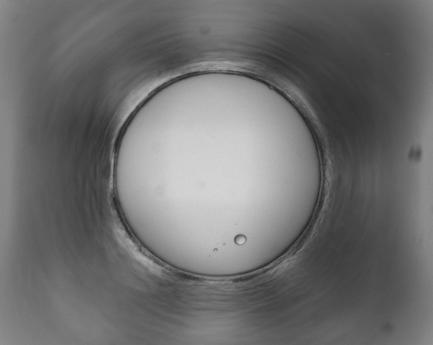 X0000111780844200907230947